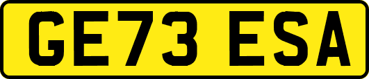 GE73ESA