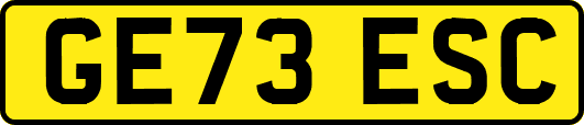 GE73ESC