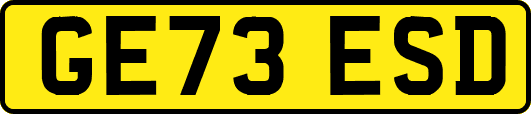 GE73ESD