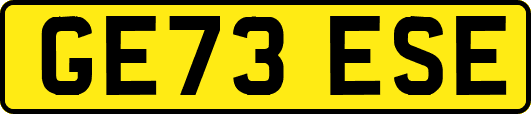 GE73ESE
