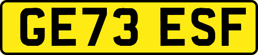 GE73ESF