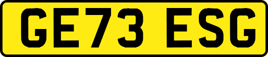 GE73ESG