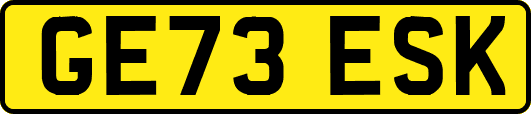 GE73ESK