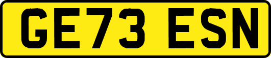 GE73ESN