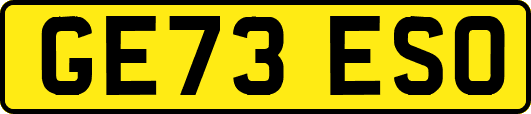 GE73ESO