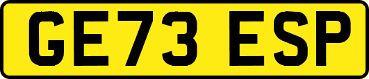 GE73ESP