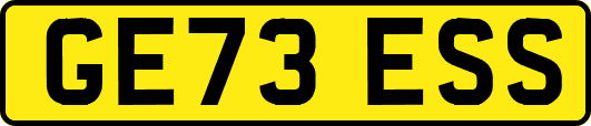 GE73ESS