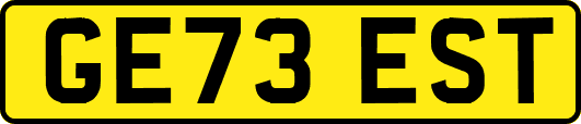 GE73EST