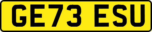GE73ESU