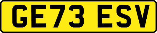 GE73ESV