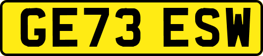 GE73ESW