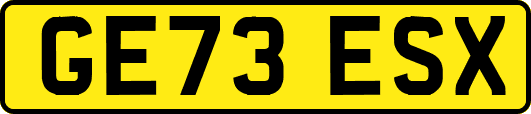 GE73ESX