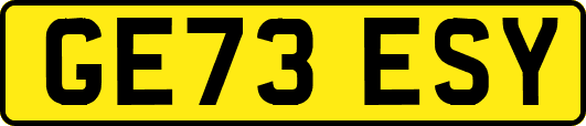 GE73ESY