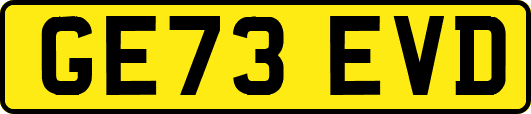 GE73EVD