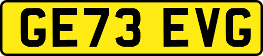 GE73EVG