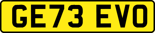 GE73EVO