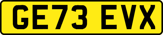 GE73EVX