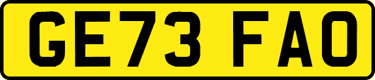 GE73FAO