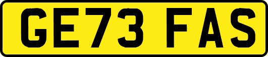 GE73FAS