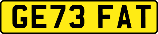 GE73FAT
