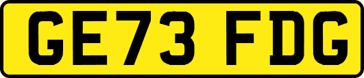 GE73FDG