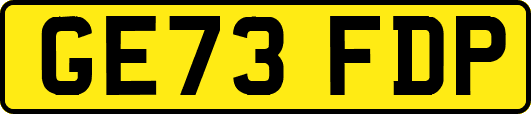GE73FDP