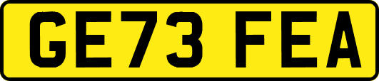 GE73FEA