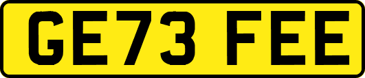 GE73FEE