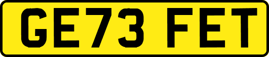 GE73FET
