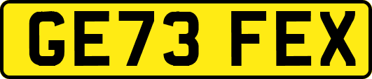 GE73FEX