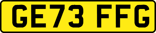 GE73FFG