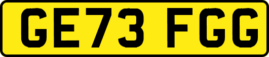 GE73FGG