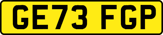 GE73FGP