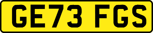 GE73FGS
