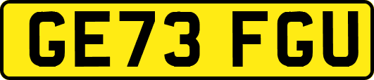 GE73FGU