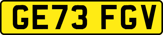 GE73FGV