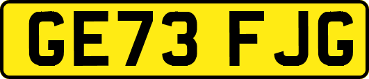 GE73FJG