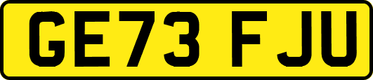 GE73FJU