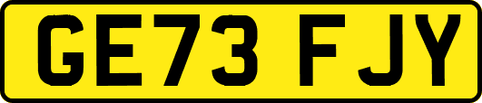 GE73FJY