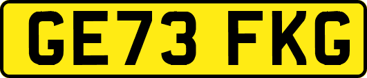 GE73FKG