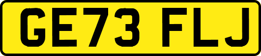 GE73FLJ