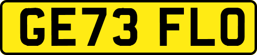 GE73FLO