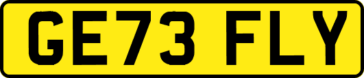 GE73FLY