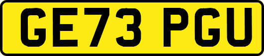 GE73PGU