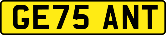 GE75ANT