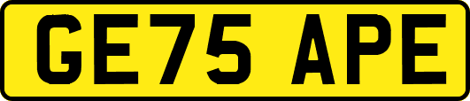 GE75APE