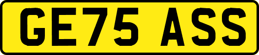GE75ASS