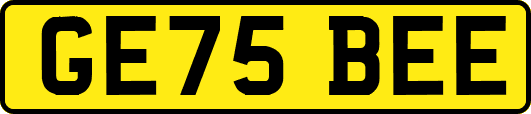 GE75BEE