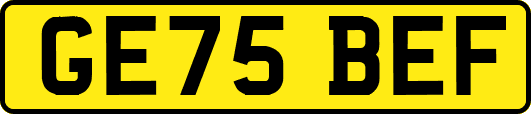 GE75BEF