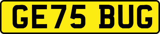 GE75BUG